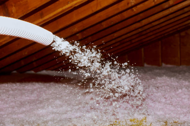 Best Eco-Friendly Insulation in North Las Vegas, NV