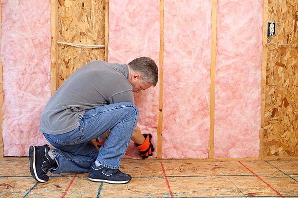 Best Residential Insulation in North Las Vegas, NV