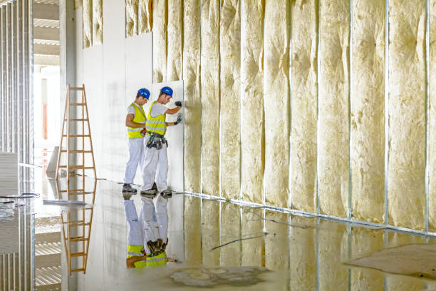 Best Spray Foam Insulation in North Las Vegas, NV